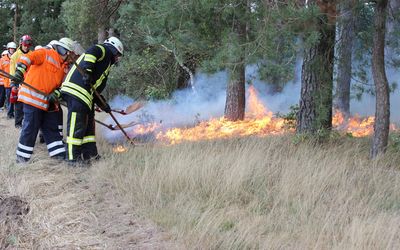 Feuerpatschen Das Foto zeigt ein Gruppe Feuerwehrleute beim Feuerpatschen