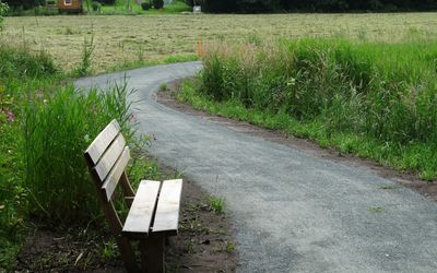 Die Sitzbank lädt zum Verweilen ein. Das Bild zeigt eine Sitzbank, die entlang des Wanderweges entlang der Luhe steht.