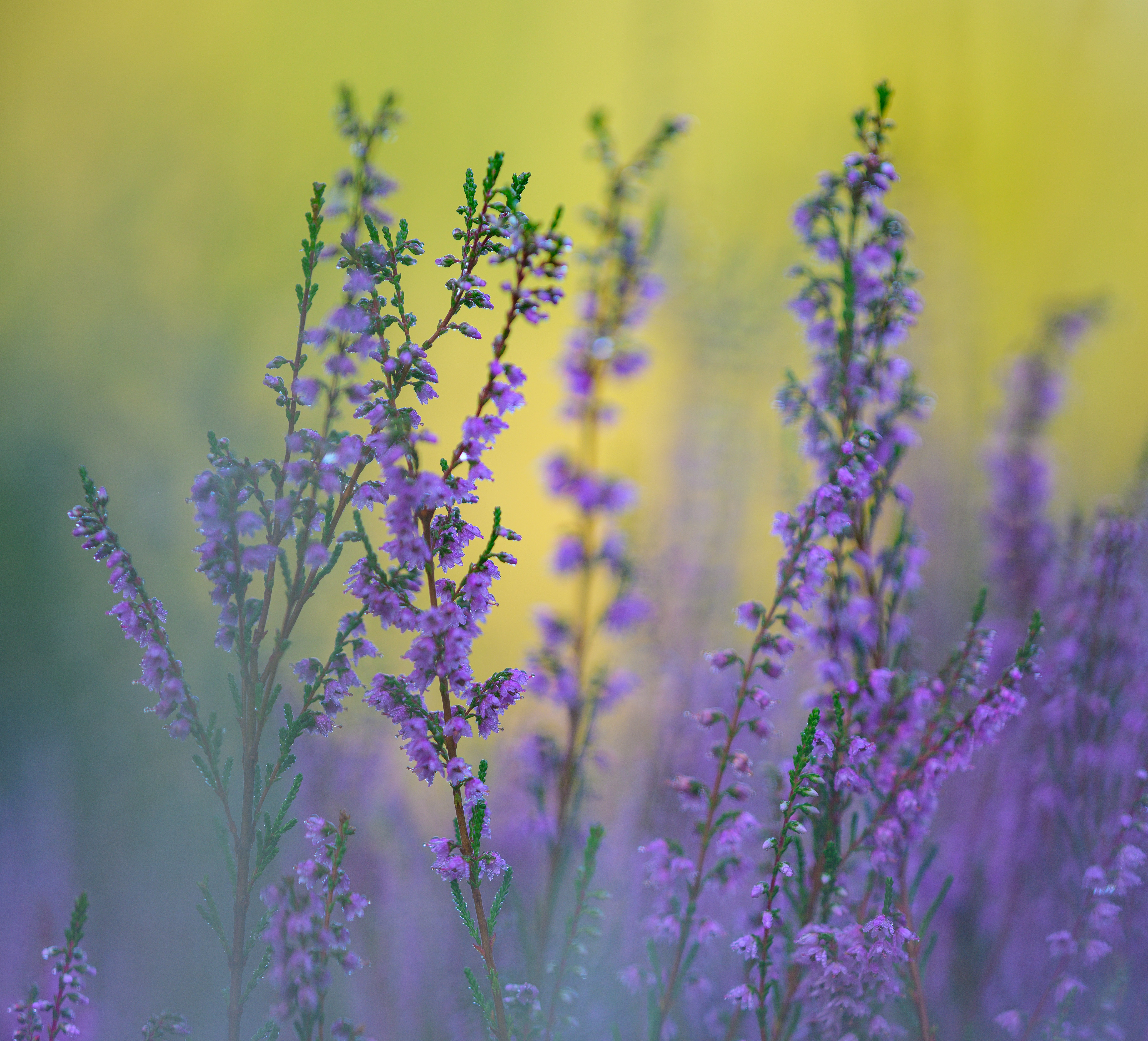 Mehrzweckhalle Steinbeck, ein langgestrecktes Backsteingebäude mit mehreren Fenstern und einem Satteldach unter bewölktem Himmel