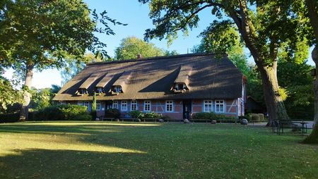 Das alte Pfarrhaus in Bispingen mit rotem Fachwerk, weiß getünchten Fensterrahmen und einem großen Reetdach, umgeben von Bäumen und einem gepflegten Rasen.