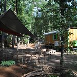 Wohnwagen und Zelt im Waldkindergarten Füchse in Bispingen, umgeben von Bäumen und Waldboden