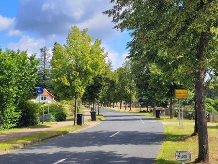 Ortseingang in Steinbeck mit gelbem Ortsschild rechts an einer Baumallee entlang einer ruhigen Straße
