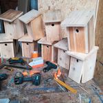 Mehrere handgefertigte Nistkästen aus hellem Holz auf einem Werkstatttisch mit Elektrowerkzeugen und Messwerkzeugen