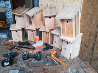 Mehrere handgefertigte Nistkästen aus hellem Holz auf einem Werkstatttisch mit Elektrowerkzeugen und Messwerkzeugen