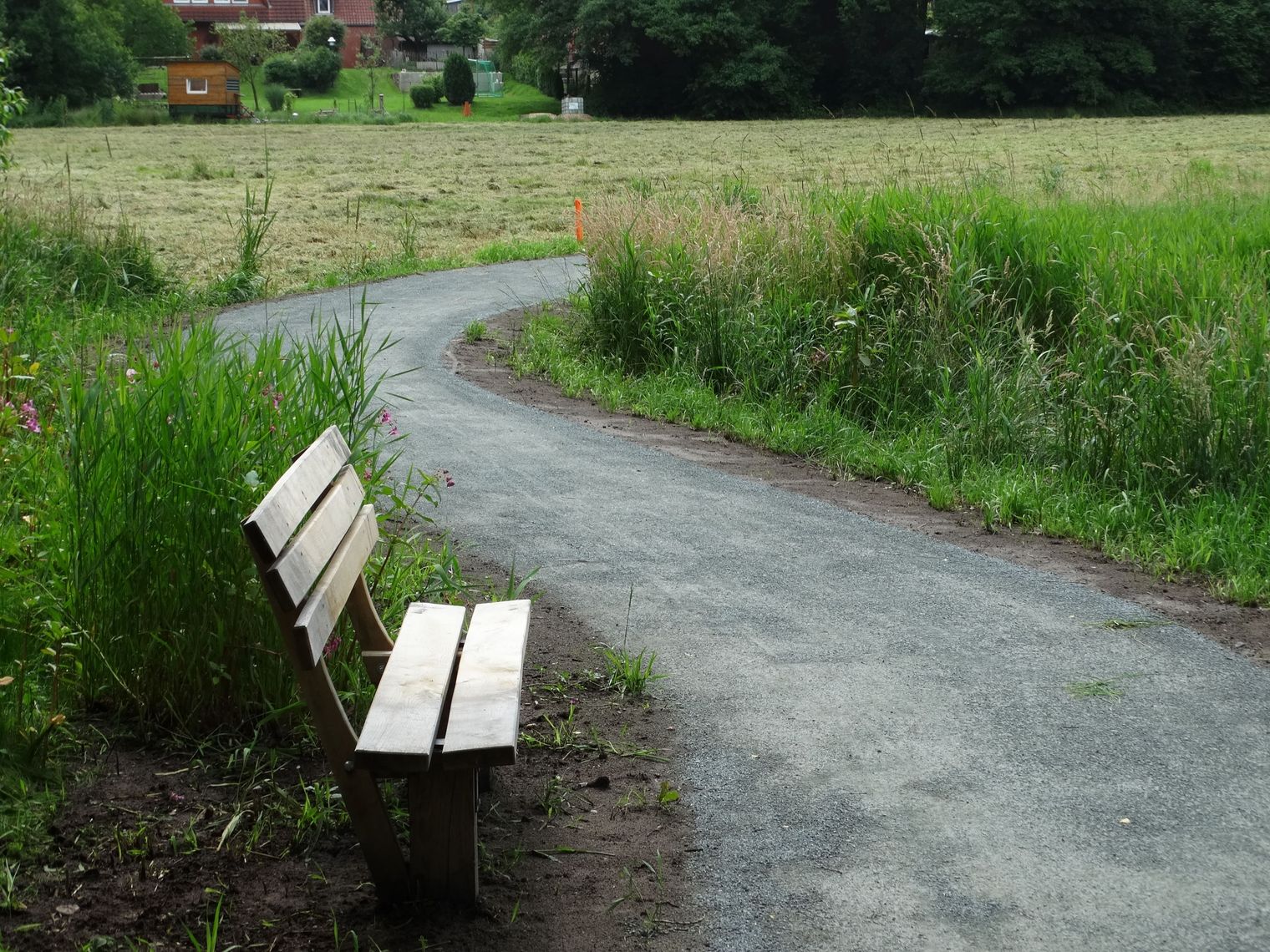 Geschwungener Luhpadd durch eine Wiese mit einer Holzbank am linken Rand