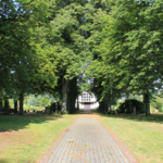 Blick über den Friedhof Bispingen