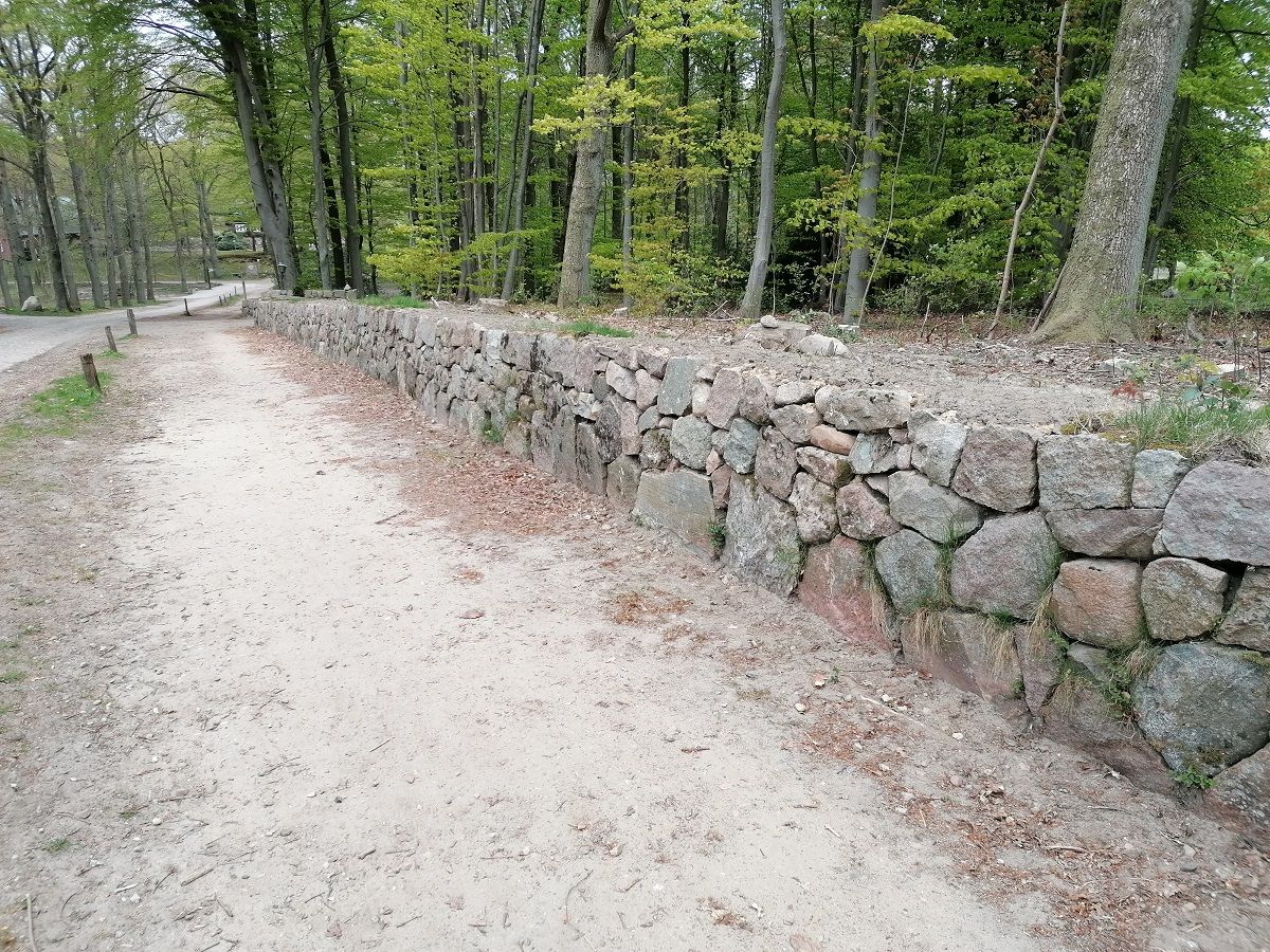 Trockensteinmauer entlang eines Weges in Wilsede, umgeben von Bäumen mit frischem Grün