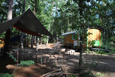 Wohnwagen und Zelt im Waldkindergarten Füchse in Bispingen, umgeben von Bäumen und Waldboden