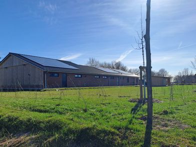 Im Vordergrund stehen mehrere junge Bäume mit Stützpfählen auf einer grünen Wiese. Im Hintergrund befindet sich das Feuerwehrhaus Hörpel, ein langgestrecktes Gebäude mit Holzfassade und dunklem Dach, das teilweise mit Solarpaneelen bedeckt ist. Der Himmel ist klar und blau, die Sonne scheint, und es sind keine Menschen zu sehen. Die Szene vermittelt den Eindruck einer Pflanzaktion, bei der neue Bäume am Feuerwehrhaus gesetzt wurden.